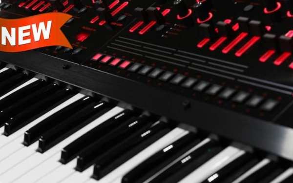 Electronic ORG - Music Piano 2 تصوير الشاشة