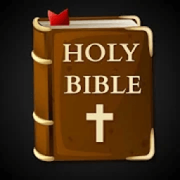 ikon Holy Bible - KJV / NIV Version