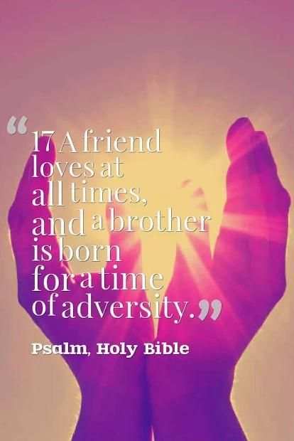 Holy Bible - KJV / NIV Version screenshot 1