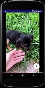 Story - Video Download for Instagram screenshot 1