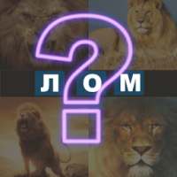 4 Сурт 1 Дош on 9Apps