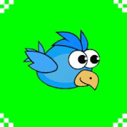 Bird 1.5