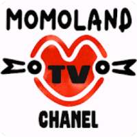 Momoland TV Chanel on 9Apps