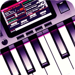 ikon Electronic ORG 2018 New