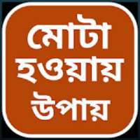 মোটা হওয়ার উপায় on 9Apps