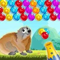 Bubble Beaver Shooter - Games Pop. Blast, Shoot