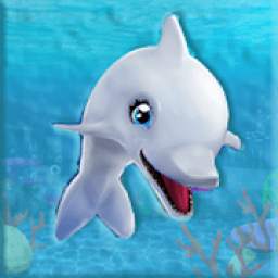 My Dolphin Show MY 1.0