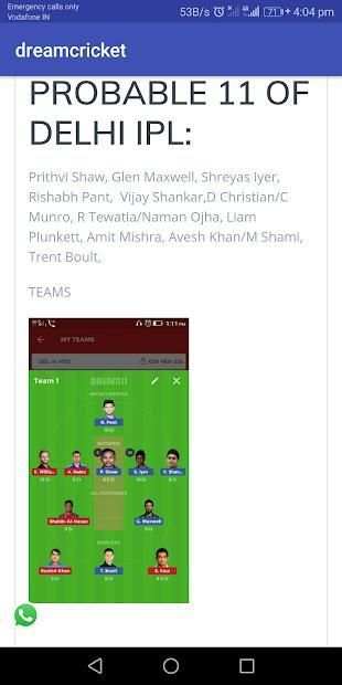 Dream Cricket स्क्रीनशॉट 2