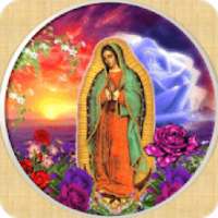Virgen de Guadalupe Patrona on 9Apps