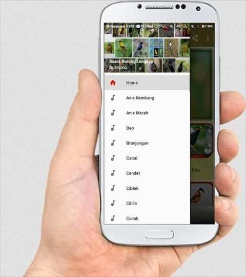 SUARA BURUNG LENGKAP screenshot 8