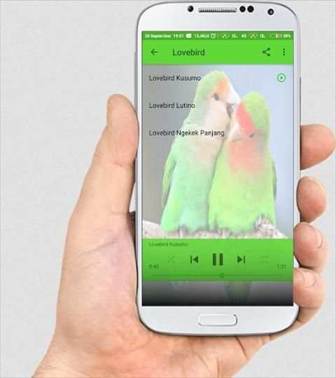 SUARA BURUNG LENGKAP screenshot 1