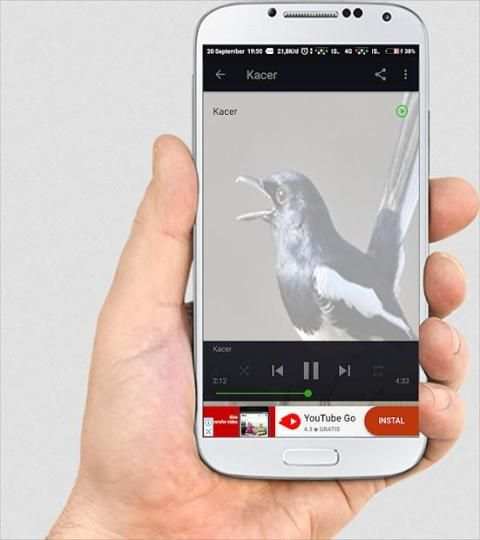 SUARA BURUNG LENGKAP screenshot 4
