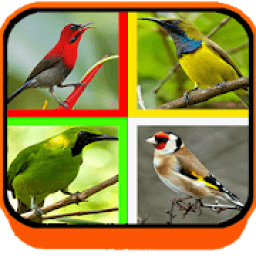 SUARA BURUNG LENGKAP иконка