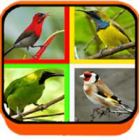 SUARA BURUNG LENGKAP on 9Apps