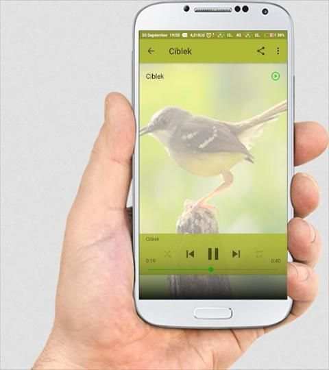 SUARA BURUNG LENGKAP screenshot 5