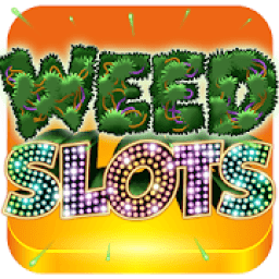 ikon weed slots super edition