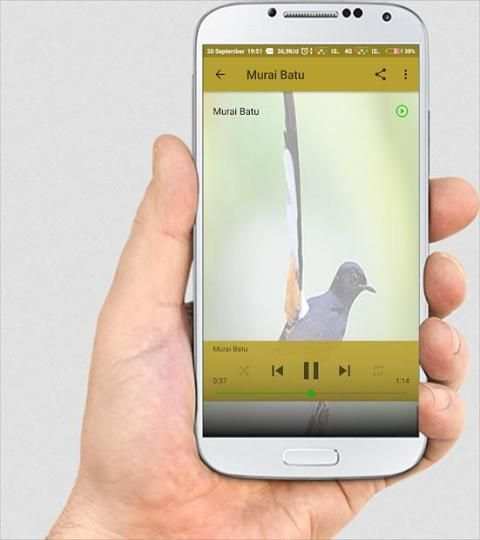 SUARA BURUNG LENGKAP screenshot 2