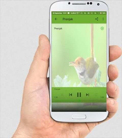 SUARA BURUNG LENGKAP screenshot 3