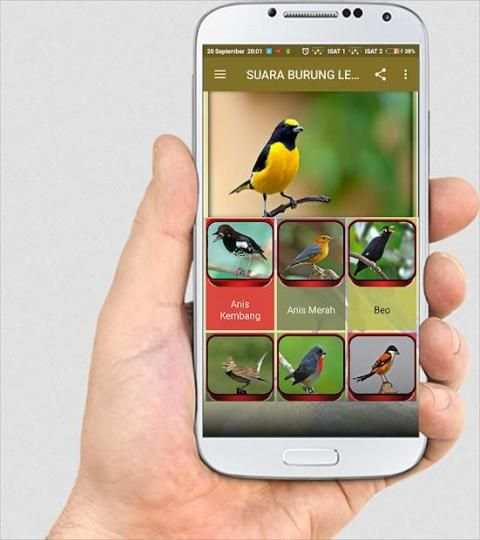 SUARA BURUNG LENGKAP screenshot 7