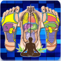 Belajar Pijat Refleksi icon