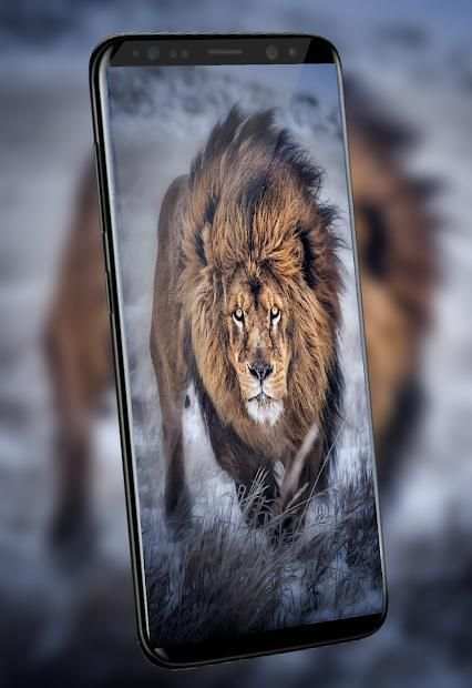 Lion Qoutes screenshot 7