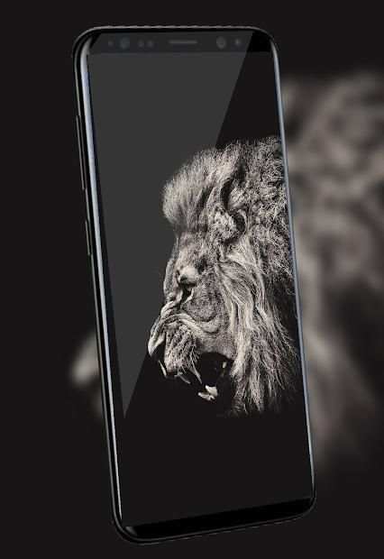 Lion Qoutes screenshot 3