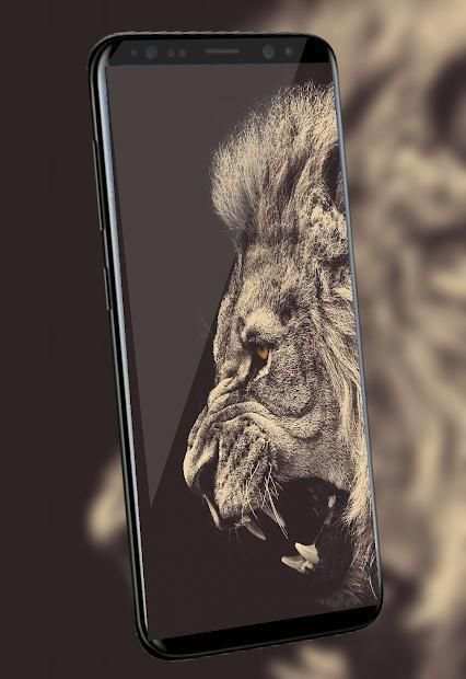 Lion Qoutes screenshot 2
