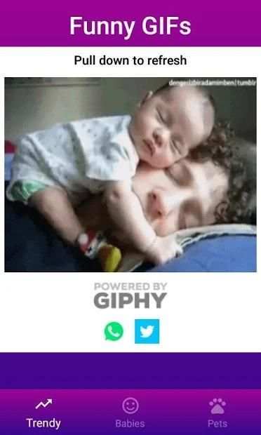 Funny GIFs screenshot 12