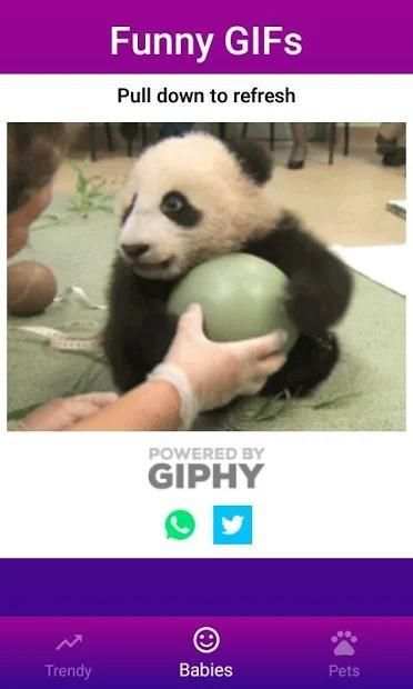 Funny GIFs screenshot 11
