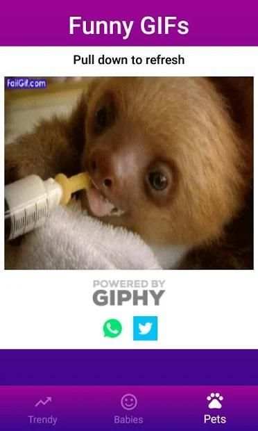 Funny GIFs screenshot 7