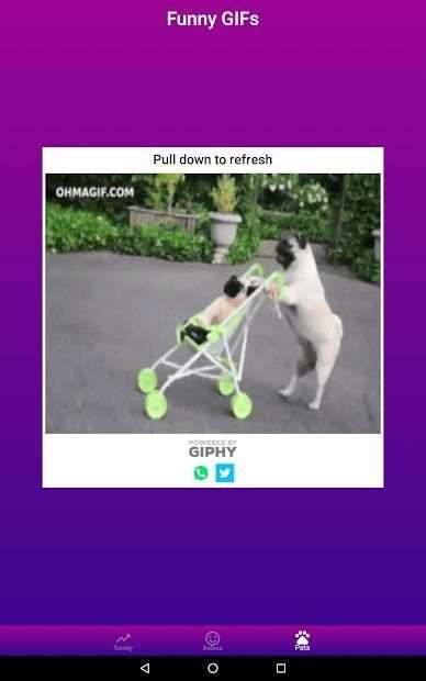 Funny GIFs screenshot 5