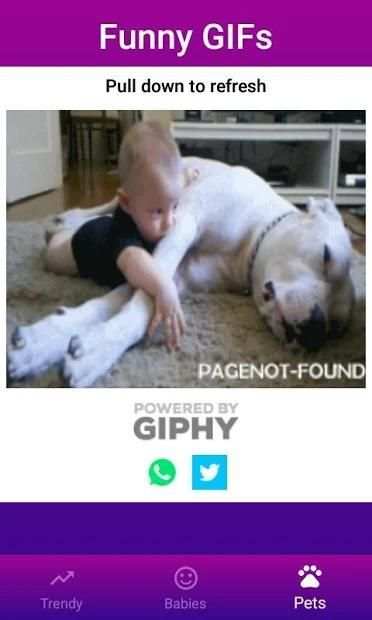 Funny GIFs screenshot 8