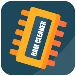 ikon Clean Master Ram Cleaner