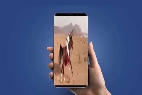 شيله ياسمو المجد هيا
‎ screenshot 3