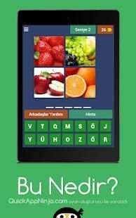 Bu Nedir ? screenshot 4