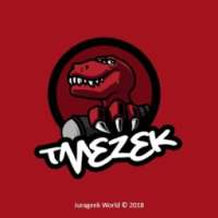 Tmezek