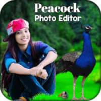 Peacock Photo Editor on 9Apps