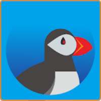 Secure Puffin Web Browser Reference 2018