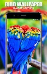 Bird Wallpaper screenshot 5