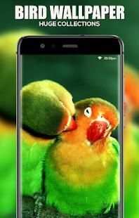 Bird Wallpaper screenshot 2