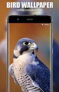 Bird Wallpaper screenshot 1