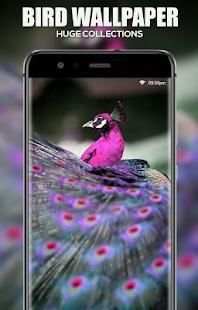 Bird Wallpaper screenshot 3