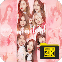 ikon Momoland Wallpapers HD