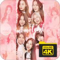 Momoland Wallpapers HD on 9Apps