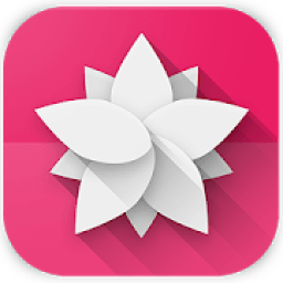 ikon Beauty Art - Color Paint Name