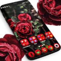 असली लाल गुलाब लांचर थीम