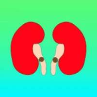 Kidney Stones Symptoms And Home Remedies on 9Apps