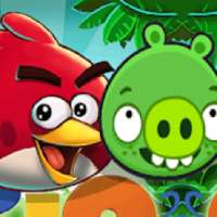 angry bad birds piggies lock wallpapers