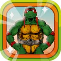 Ninja Turtle Hero