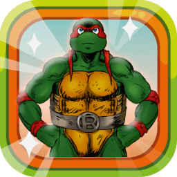 ikon Ninja Turtle Hero